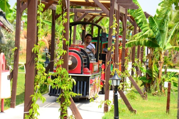 Aslanlar Diyarı ve Efsaneler Diyarı (Gece ​​Gösterisi)
